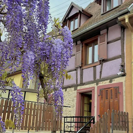 Ide'alsace Eguisheim