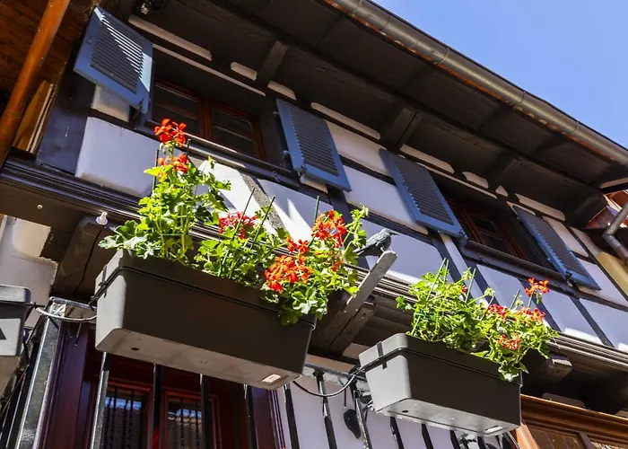 Nyaraló Ide'alsace *