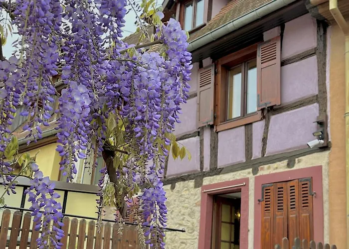 Ide'alsace Eguisheim